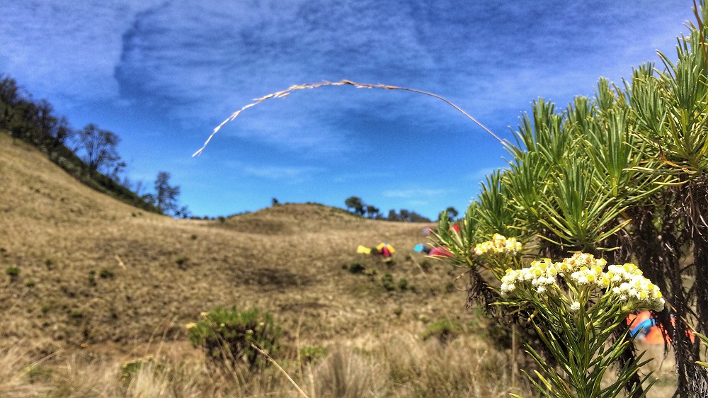 Hiking Gunung Buthak